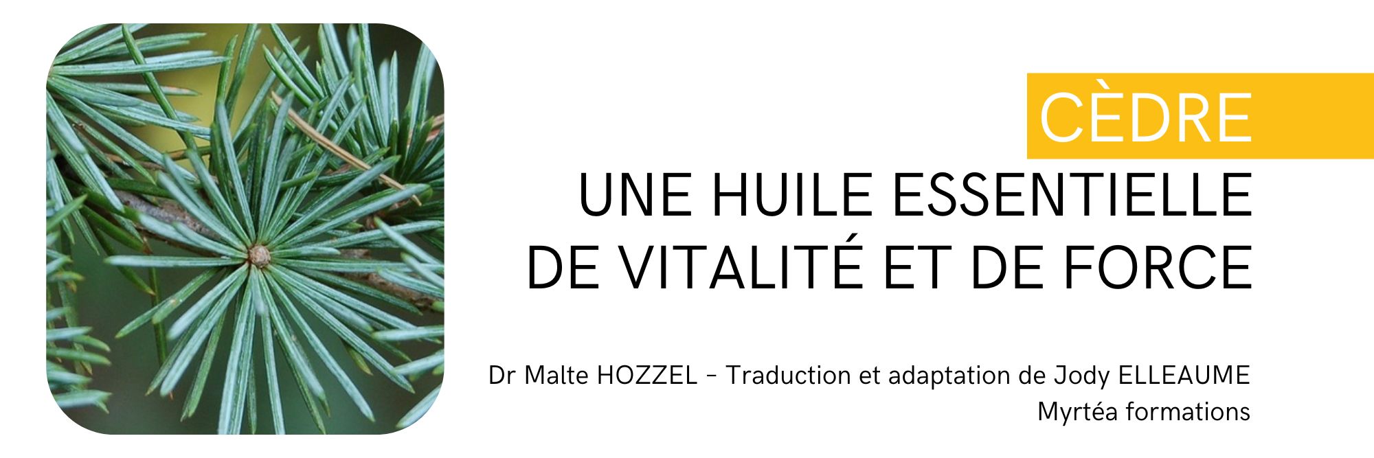 Cèdre - Une huile essentielle de Vitalité et de Force Les Réflexions philosophique du Dr Hozzel, Traduction et adaptation de Jody ELLEAUME